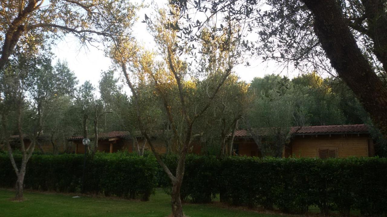 Agriturismo Lu Podere Alimini Zewnętrze zdjęcie