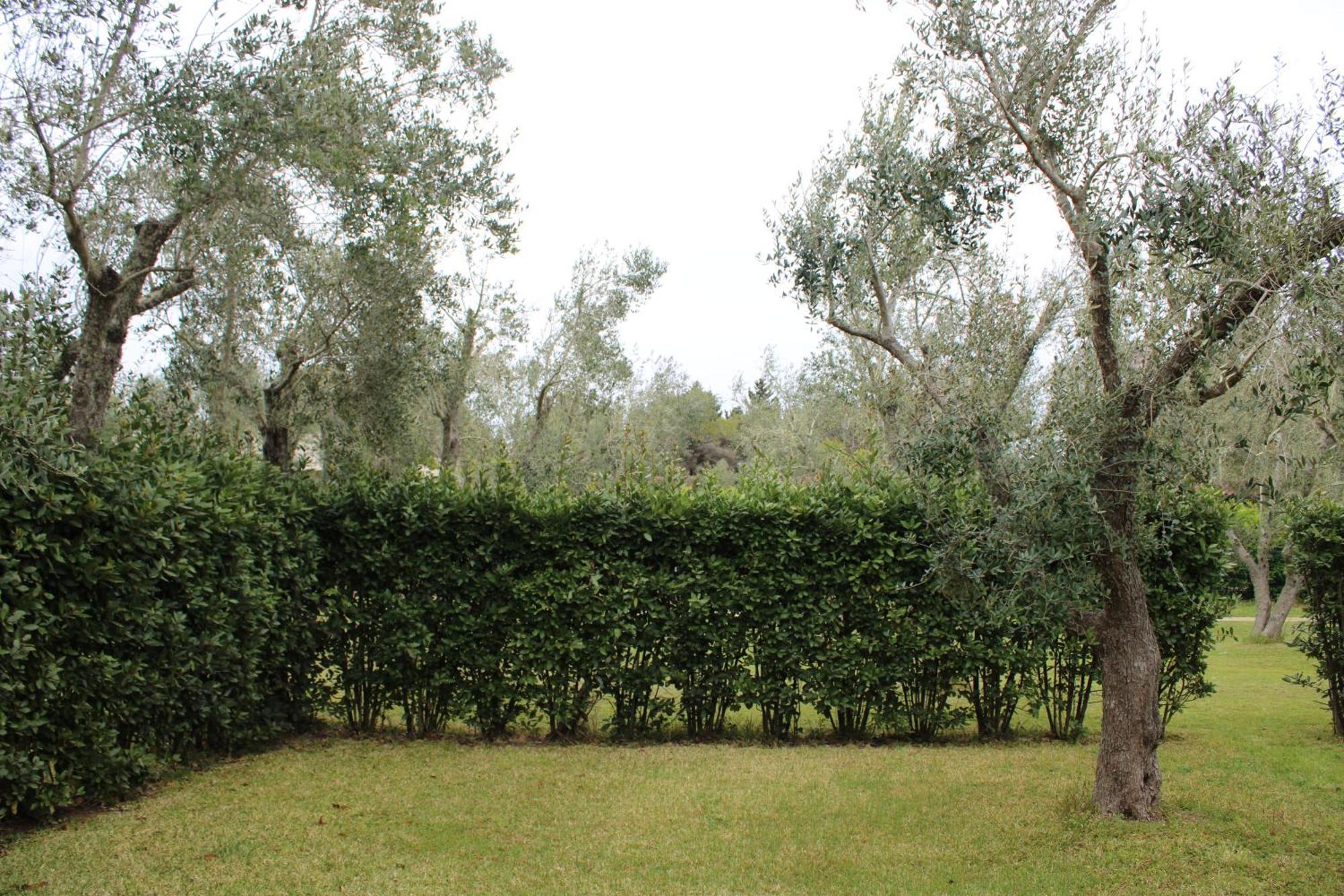 Agriturismo Lu Podere Alimini Zewnętrze zdjęcie
